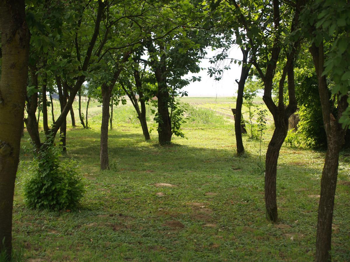 Hotel Pannonia Terranova à Vardarac Extérieur photo
